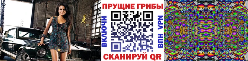 Псилоцибиновые грибы прущие грибы Новоржев